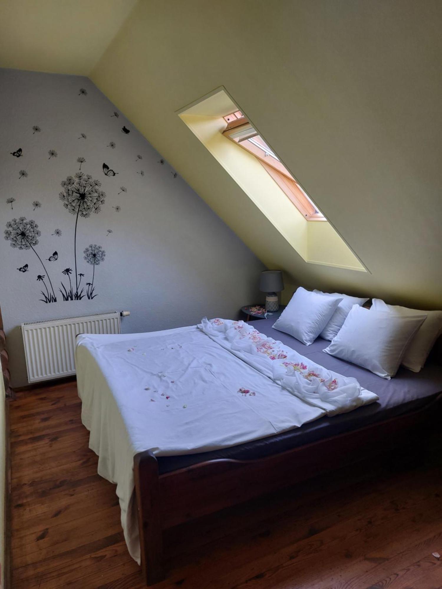 Jaun-Ievinas Hotel Rauna Bagian luar foto